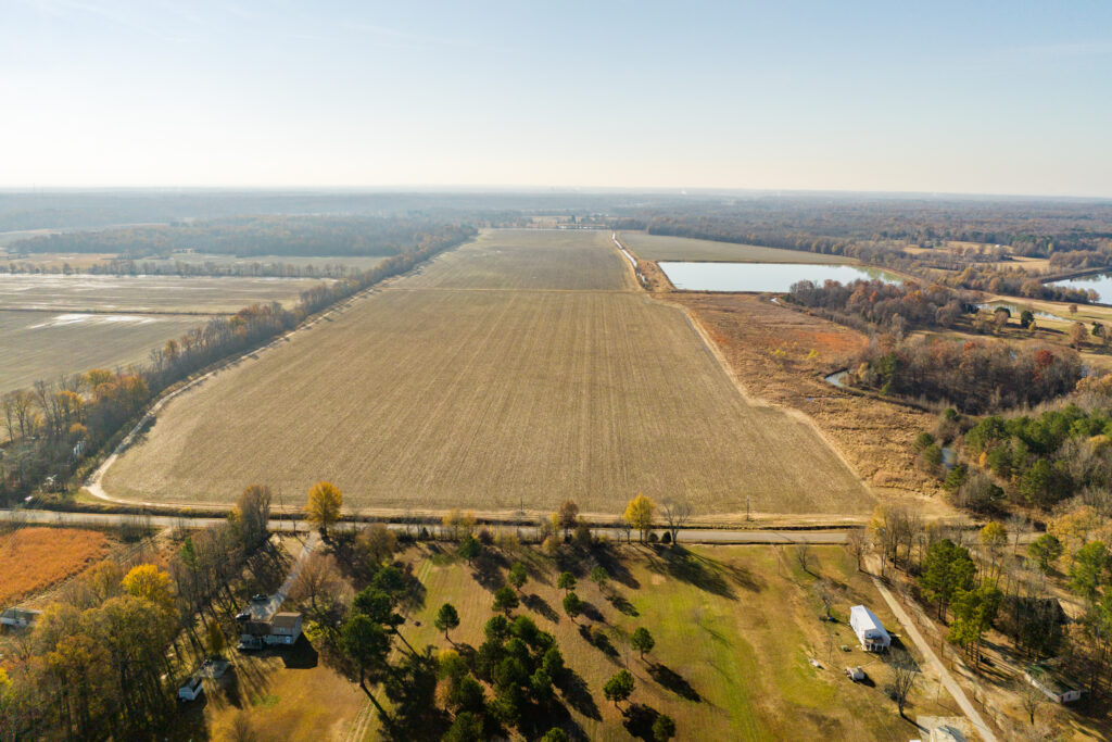 Wilson Auctioneers Jonesboro, Arkansas Farm Auction. 350 Acres, Rice, Soybean, Wheat and Timber.