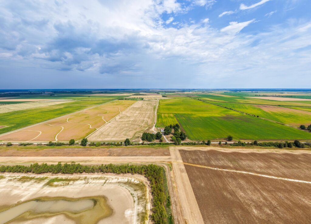 385 acre row crop farm sold at auction in Stuttgart, Arkansas