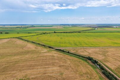 385 Acre Farm in Stuttgart, AR sold by Wilson Auctioneers on October 21, 2026 for $6,490 per acre.