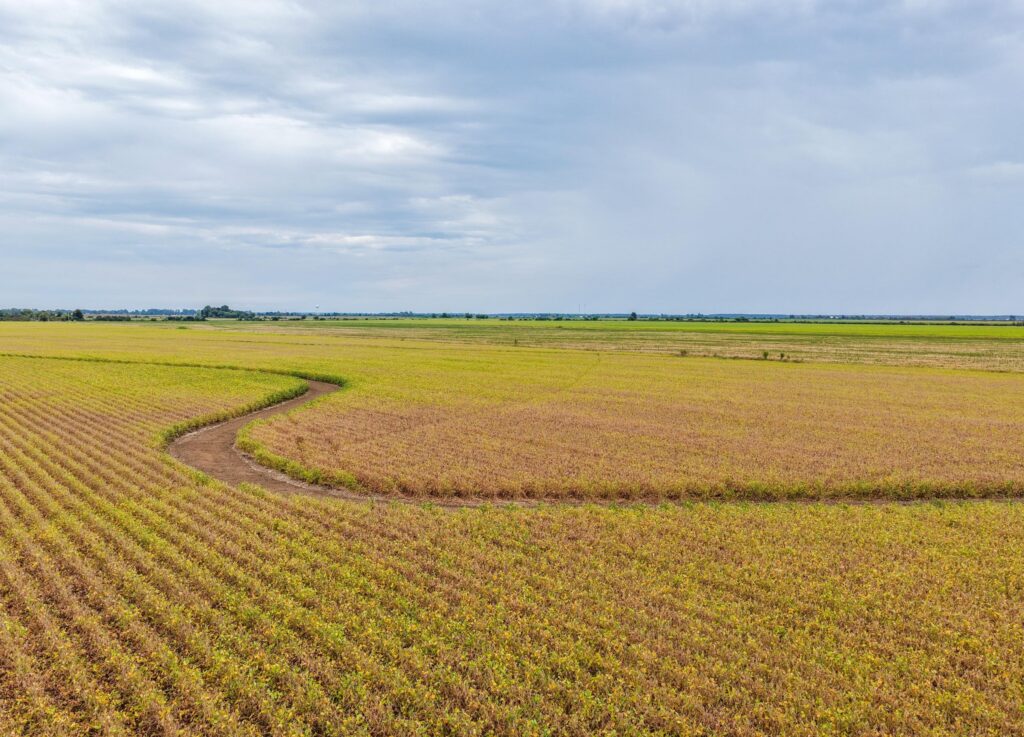 385 acre row crop farm sold at auction in Stuttgart, Arkansas