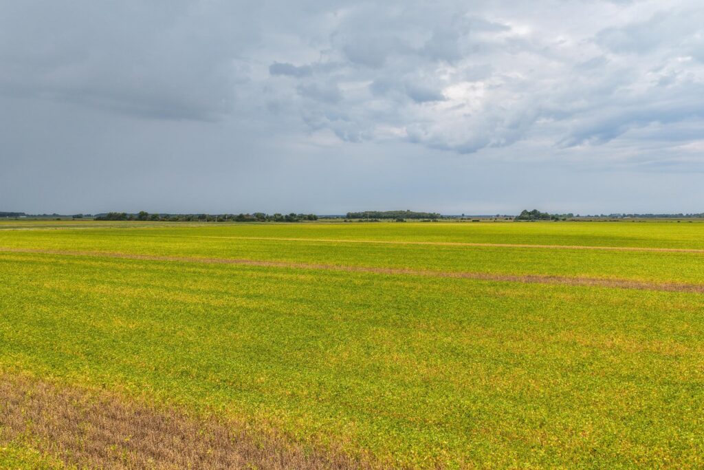 385 acre row crop farm sold at auction in Stuttgart, Arkansas